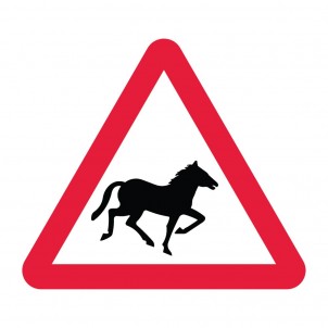 Beware Wild Horses