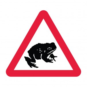 Migrating Toads Crossing