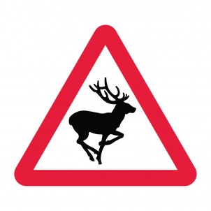 Wild Animals (Deer)